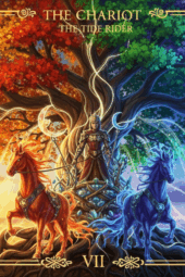 card-2